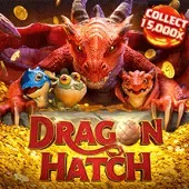 드래곤 부화 thumbnail